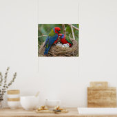 Rosella Birds Poster (Keuken)