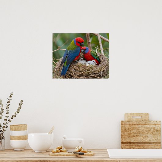 Rosella Birds Poster (Keuken)