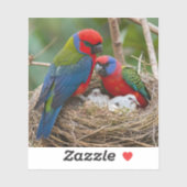 Rosella Birds Sticker (Vel)