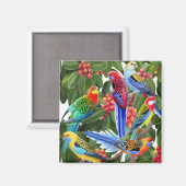 Rosella papegaaien in vijgenboom magneet (Voorkant / Achterkant)