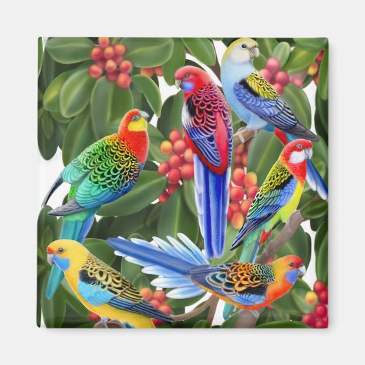 Rosella papegaaien in vijgenboom magneet (Voorkant)