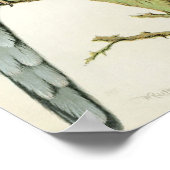 Rosella Parrakeets Poster (Hoek)