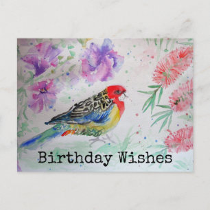 Rosella Parrot met het Briefkaart van de Birthday-