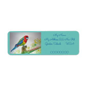 Rosella Parrot Waterverf Return Address Labels (Voorkant)