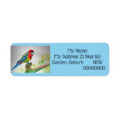 Rosella Parrot Waterverf Return Address Labels (Voorkant)