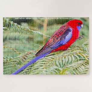 Rosella Parrots Australia Jigzaag Puzzle Legpuzzel
