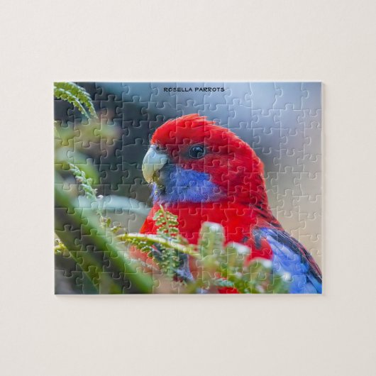 Rosella Parrots Australië Legpuzzel (Horizontaal)