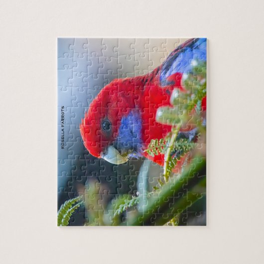 Rosella Parrots Australië Legpuzzel (Verticaal)