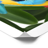 Rosella Parrots in vingerafdrukken Poster (Hoek)