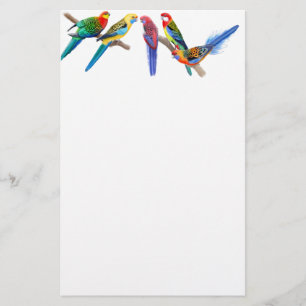 Rosella Parrots Stationery Briefpapier