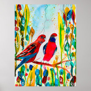Rosella vogels in de waterverf kunst poster