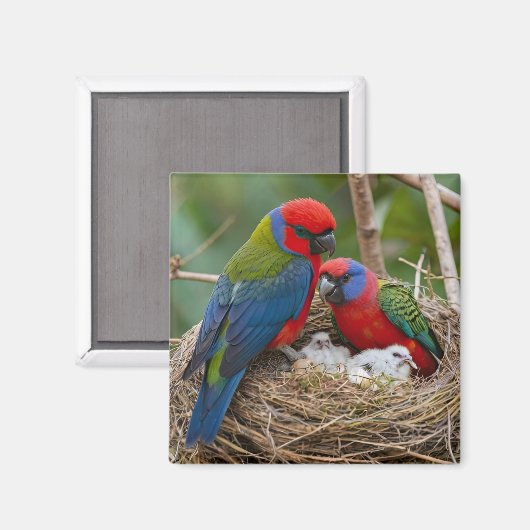 Rosella Vogels Magneet (Voorkant / Achterkant)