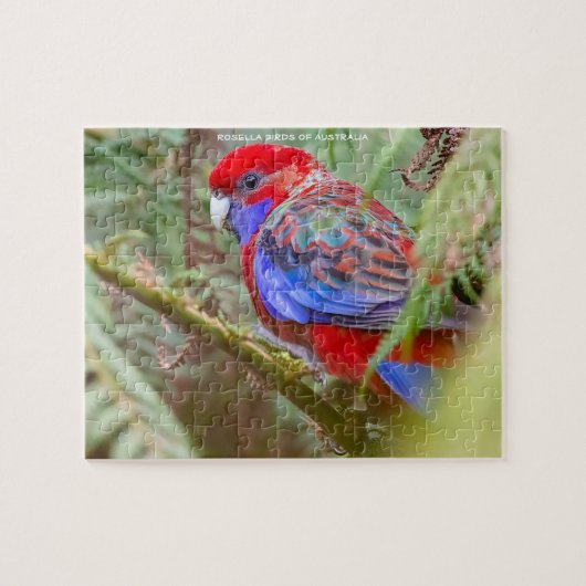 Rosella Vogels van Australië Legpuzzel (Horizontaal)