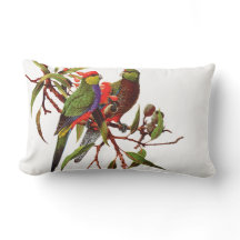 ROSELLAS OP WITTE dubbelzijdige Pillow-kussen