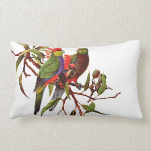 ROSELLAS OP WITTE dubbelzijdige Pillow-kussen Kussen