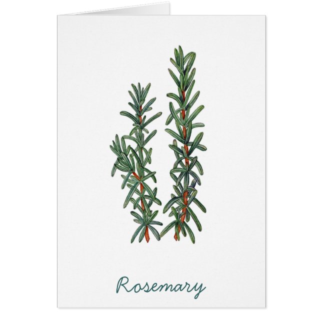 Rosemary (Voorkant)