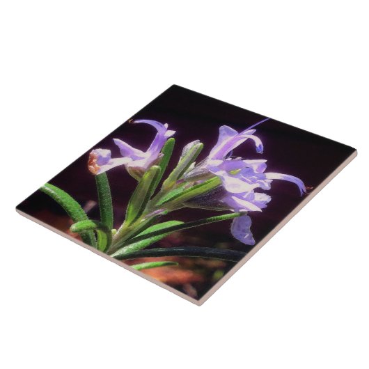 Rosemary Flowers Tegeltje (Zijkant)