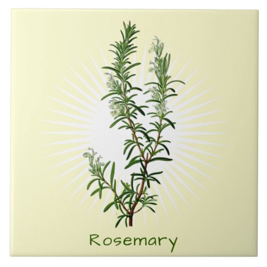 Rosemary Herb botanische kunstkeramische Tegel Tegeltje (Voorkant)