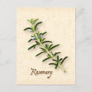 Rosemary Herb-Briefkaart aanpassen Briefkaart