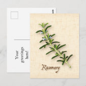 Rosemary Herb-Briefkaart aanpassen Briefkaart (Voorkant / Achterkant)