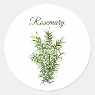 Rosemary Herb Greenery Kitchen Culinaire Groene Ki Ronde Sticker