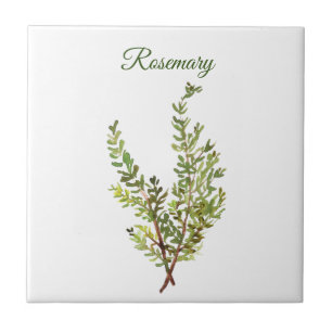 Rosemary Herb Greenery Kitchen Culinaire Groene Ki Tegeltje