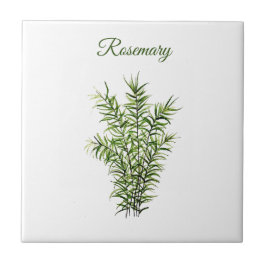 Rosemary Herb Greenery Kitchen Culinaire Groene Ki Tegeltje