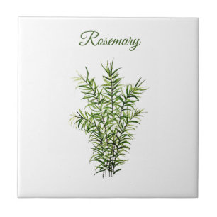 Rosemary Herb Greenery Kitchen Culinaire Groene Ki Tegeltje