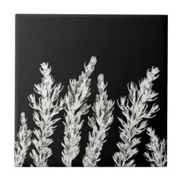 Rosemary Herb Leaves Branch Black White Tegeltje