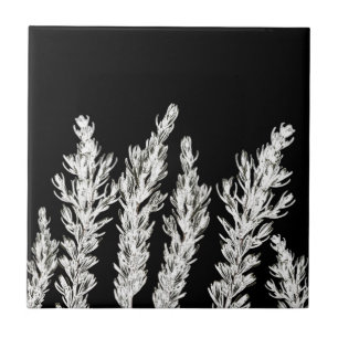 Rosemary Herb Leaves Branch Black White Tegeltje