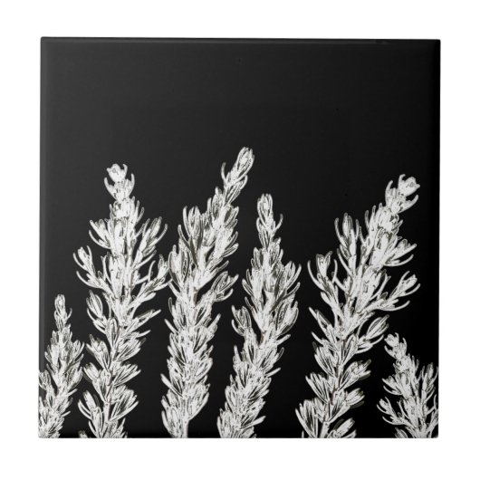 Rosemary Herb Leaves Branch Black White Tegeltje (Voorkant)