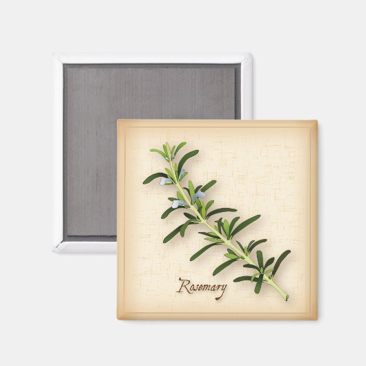 Rosemary Herb Magneet (Voorkant / Achterkant)