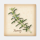 Rosemary Herb Magneet (Voorkant)