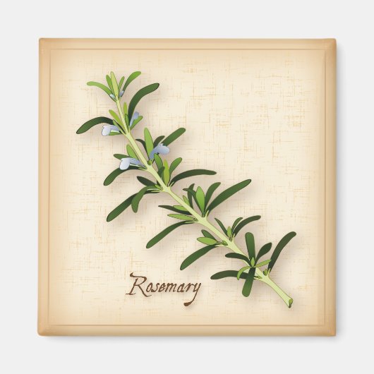 Rosemary Herb Magneet (Voorkant)