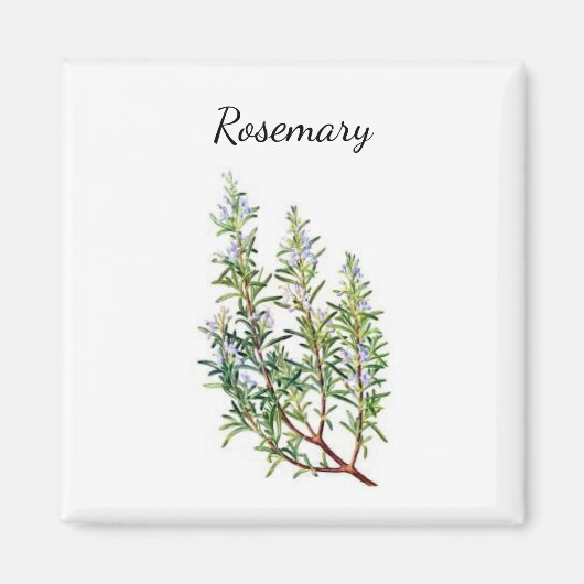 Rosemary Herb Magnet (Voorkant)