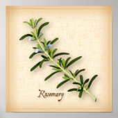 Rosemary Herb Poster (Voorkant)