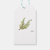 Rosemary herb Rosemary waterverf schilderij Cadeaulabel (Voorkant)
