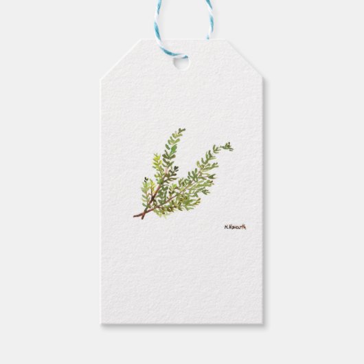 Rosemary herb Rosemary waterverf schilderij Cadeaulabel (Voorkant)