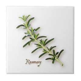 Rosemary Herb Tegel Tegeltje