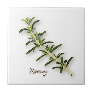 Rosemary Herb Tegel Tegeltje