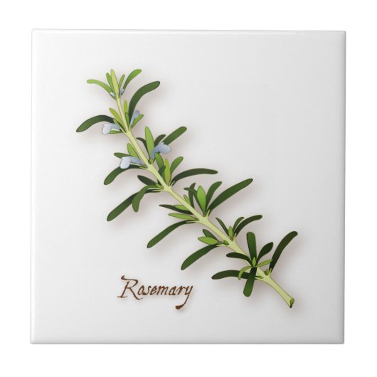 Rosemary Herb Tegel Tegeltje (Voorkant)