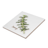 Rosemary Herb Tegel Tegeltje (Zijkant)