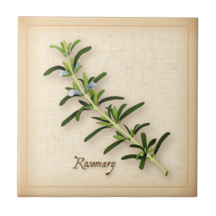 Rosemary Herb Tegeltje