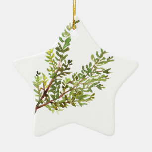 Rosemary herb Waterverf green botanical plant Keramisch Ornament