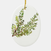 Rosemary herb Waterverf greenerbs green Keramisch Ornament (Voorkant)