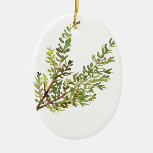 Rosemary herb Waterverf greenerbs green Keramisch Ornament (Voorkant)