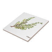 Rosemary herb waterverf keuken Greenery rustic Tegeltje (Zijkant)