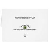Rosemary in Bloom Flowering Herb Foto (Achterkant Horizontaal)