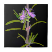 Rosemary in Bloom Tegeltje (Voorkant)