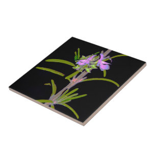 Rosemary in Bloom Tegeltje
